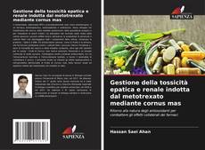 Borítókép a  Gestione della tossicità epatica e renale indotta dal metotrexato mediante cornus mas - hoz