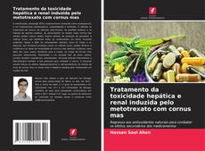 Bookcover of Tratamento da toxicidade hepática e renal induzida pelo metotrexato com cornus mas