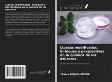 Buchcover von Lipasas modificadas. Enfoques y perspectivas en la química de los azúcares