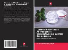 Bookcover of Lipases modificadas. Abordagens e perspectivas na química dos açúcares