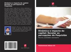 Dinâmica e impacto do capital: Revelar as percepções do Paquistão的封面