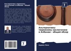 Обложка Альтернативы тюремному заключению в Албании - общий обзор