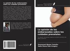 Couverture de La opinión de las embarazadas sobre los cuidados prenatales