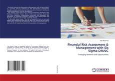 Bookcover of Financial Risk Assessment & Management with Six Sigma DMAIC