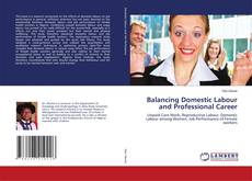 Capa do livro de Balancing Domestic Labour and Professional Career 