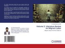 Capa do livro de Volume 2. Literature Review on Migrant Labor 