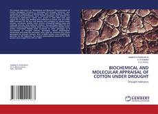 Capa do livro de BIOCHEMICAL AND MOLECULAR APPRAISAL OF COTTON UNDER DROUGHT 