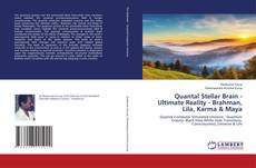 Bookcover of Quantal Stellar Brain - Ultimate Reality - Brahman, Lila, Karma & Maya