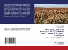 Обложка DNA BARCODING OF SPODOPTERA FRUGIPERDA INFESTING IN SORGHUM, JUNAGADH