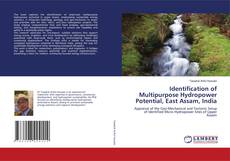 Buchcover von Identification of Multipurpose Hydropower Potential, East Assam, India