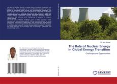 Buchcover von The Role of Nuclear Energy in Global Energy Transition
