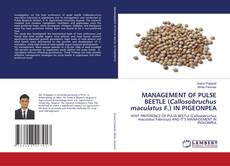 Обложка MANAGEMENT OF PULSE BEETLE (Callosobruchus maculatus F.) IN PIGEONPEA
