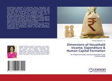 Dimensions of Household Income, Expenditure & Human Capital Formation kitap kapağı