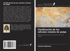 Buchcover von Clasificación de los cálculos renales de pulpa