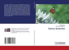 Copertina di Raichur Butterflies