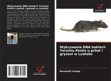 Обложка Wykrywanie DNA bakterii Yersinia Pestis u pcheł i gryzoni w Lushoto