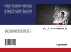 Borítókép a  BIG DATA VISUALIZATION - hoz