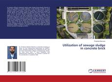 Utilization of sewage sludge in concrete brick kitap kapağı
