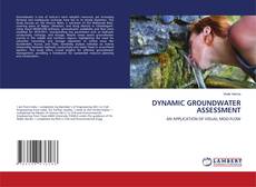 DYNAMIC GROUNDWATER ASSESSMENT的封面