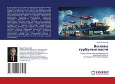 Borítókép a  Вызовы турбулентности - hoz