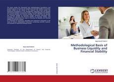 Copertina di Methodological Basis of Business Liquidity and Financial Stability