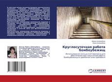 Круглосуточная работа бомбоубежищ kitap kapağı