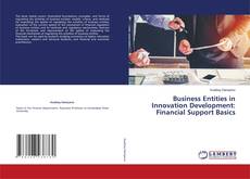 Copertina di Business Entities in Innovation Development: Financial Support Basics