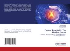 Borítókép a  Cancer Stem Cells: The Hidden Enemy - hoz