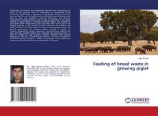 Buchcover von Feeding of bread waste in growing piglet