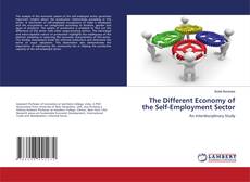 Buchcover von The Different Economy of the Self-Employment Sector