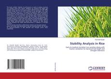 Buchcover von Stability Analysis in Rice
