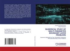 NUMERICAL STUDY OF MULTI PARAMETER BOUNDARY LAYER PROBLEMS kitap kapağı