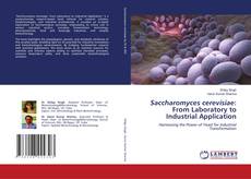 Buchcover von Saccharomyces cerevisiae: From Laboratory to Industrial Application