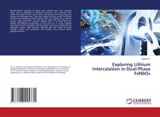 Copertina di Exploring Lithium Intercalation in Dual-Phase FeNbO₄