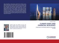 Capa do livro de CLIMATE RISKS AND FINANCIAL RESILIENCE 
