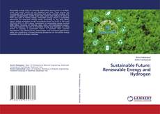 Borítókép a  Sustainable Future: Renewable Energy and Hydrogen - hoz