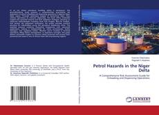 Petrol Hazards in the Niger Delta kitap kapağı