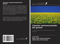 Cosecha semimecanizada del girasol的封面