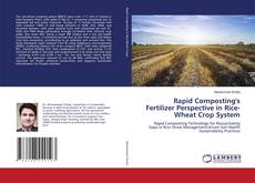 Rapid Composting's Fertilizer Perspective in Rice-Wheat Crop System的封面
