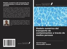 Buchcover von Modelo numérico del transporte de contaminantes a través de medios porosos