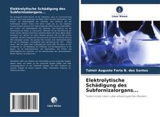Portada del libro de Elektrolytische Schädigung des Subfornizalorgans...