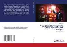 Project Risk Planning Using Oracle Primavera Risk Analysis的封面