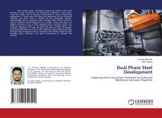 Dual Phase Steel Development的封面