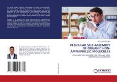 Copertina di VESICULAR SELF-ASSEMBLY OF ORGANIC NON-AMPHIPHILLIC MOLECULES