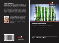 Capa do livro de Bioraffinazione 