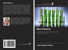 Buchcover von Biorrefinería