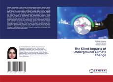 Capa do livro de The Silent Impacts of Underground Climate Change 