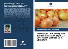 Bookcover of Wachstum und Ertrag von Zwiebeln (Allium cepa L.) unter dem Einfluss von Stickstoff