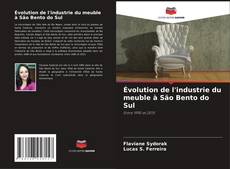Évolution de l'industrie du meuble à São Bento do Sul的封面