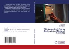 Обложка Risk Analysis of Energy Blackouts and National Resilience
